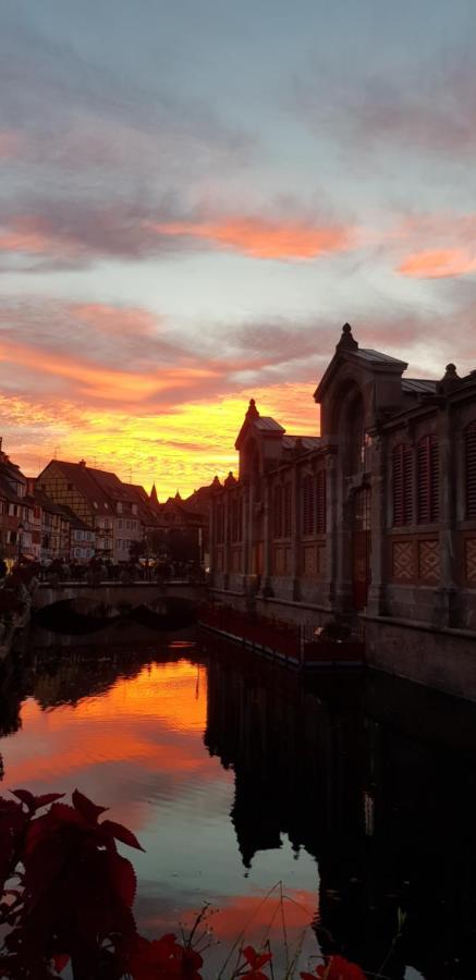 New ! Vue Petite Venise, Place To Be - Parking 科尔马 外观 照片