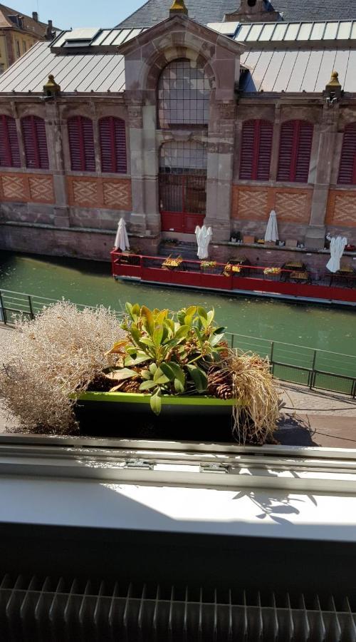 New ! Vue Petite Venise, Place To Be - Parking 科尔马 外观 照片