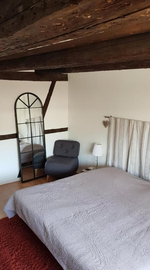 New ! Vue Petite Venise, Place To Be - Parking 科尔马 外观 照片